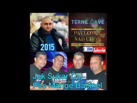 PAVLOVCE TERNE CAVE 54 - JEK SUKAR CAJ PES MANGE BACINEL   2015