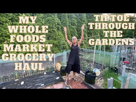 WHOLE FOODS GROCERY HAUL - YUMMY THINGS!!   A VISIT IN THE GARDENS - THE BEANS HAVE SPROUTED - YAY!!