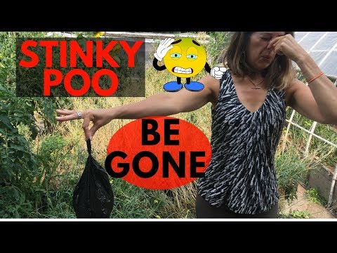 YouTube video about: How to stop dog poop from smelling?