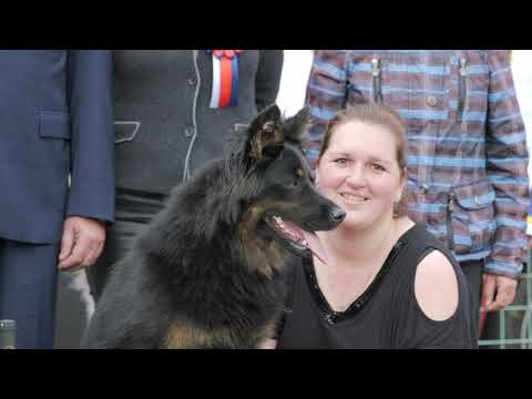 Světová výstava Chodský pes 2022