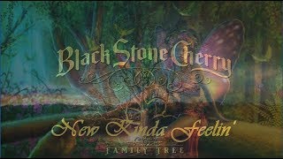 Black Stone Cherry - New Kinda Feelin'