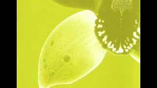 Sonic Animation - I Funk Therefore I Am
