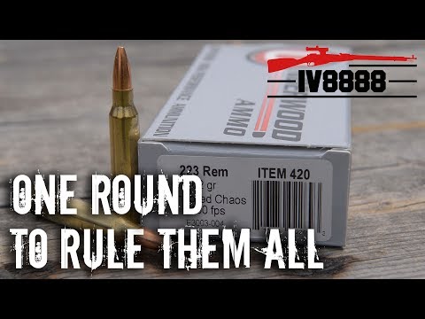 Home Defense & Hunting: Can One Round Do Both?