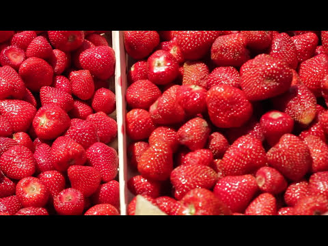 Kako se pravi Rumenko I Rumenko I Frikom