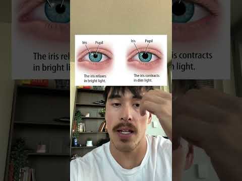Episode 1: Evolution of the Human Eye