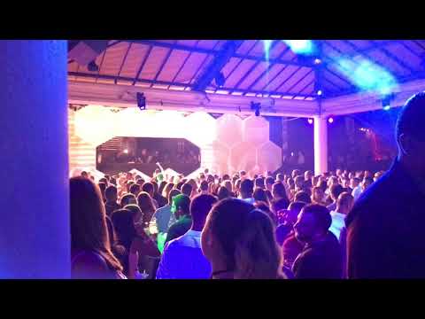 Daniel blade gringos malta