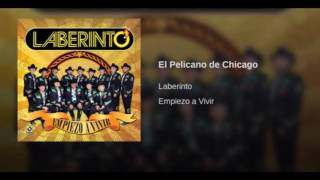 El Pelicanao De Chicago- laberinto  2015