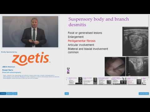 eBEVA Webinar:  RogerSmith  - Distal Limb Ultrasonography
