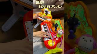 - 戦闘!シロナ VS アンパン