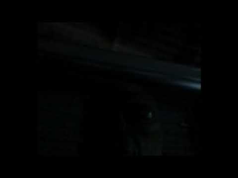 Alienween Vienna Sausage