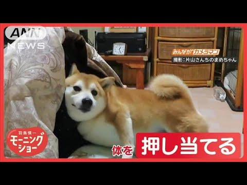 サファイア(詩歌)【リポストオン推奨アカウント】さんの投稿画像