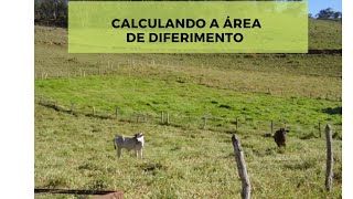 CALCULANDO A ÁREA DE DIFERIMENTO @ForragiculturaePastagens