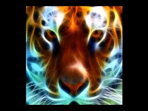 tiger dubstep now your gone