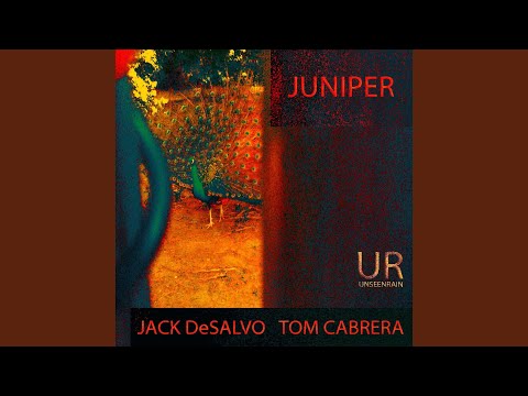 Juniper online metal music video by JACK DESALVO