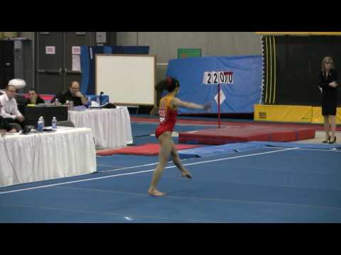 BTsang-FX Elite Canada 2009, Junior Event Final