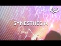 Hearing Color Seeing Sound This Is Synesthesia 360 Video