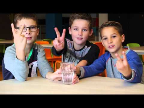 OOGPUNT Spraakwater Petrus & Paulus