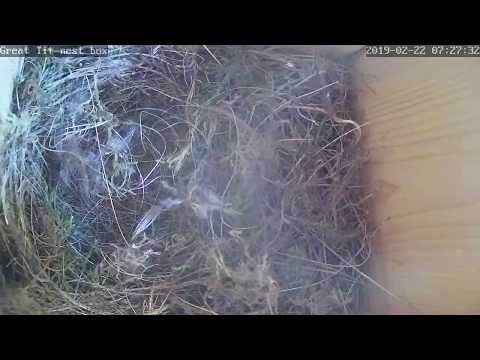 Quick Day Summary - 22/02/19