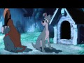 Lady And The Tramp Tramp Comes To Apologizes To Lady HD