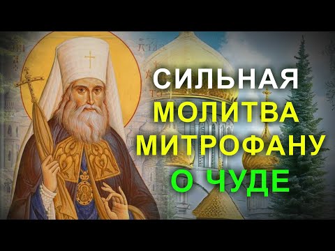 СИЛЬНАЯ МОЛИТВА О БЛАГОПОЛУЧИИ МИТРОФАНУ ВОРОНЕЖСКОМУ. Сегодня проси Святого о чуде
