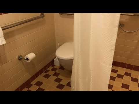 Carnival Firenze Small Interior Cabin 6364