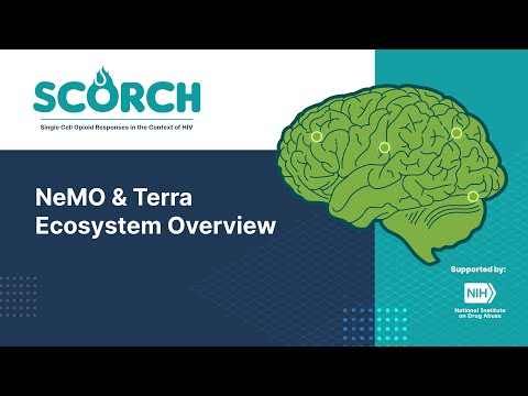 NeMO Terra Overview