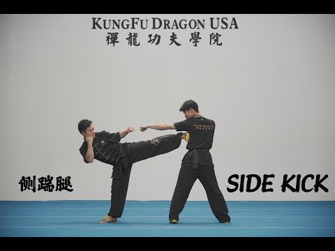 Kung Fu Dragon USA Online Tutorial:  SIDE KICK /CE CHUAI TUI /侧踹腿