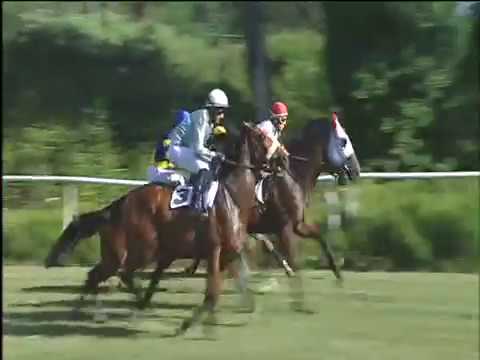 Galoppo 05/07/2017 - 1ª corsa