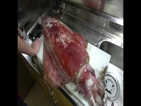 BIG GIANT SQUID COOKING 2021