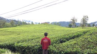 Download lagu DJ ANGKLUNG FULL ALBUM SLOW TERBAIK ] DJ BARAT VIRAL FULL BASS 2020 - 2021 mp3