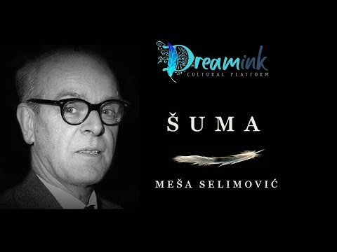 MEŠA SELIMOVIĆ - Šuma | Audio knjige na srpskom