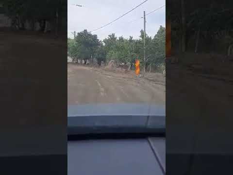 Drumul județean care face legătura în Capu Dealului-Cărbunești (1)