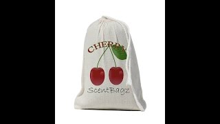 ScentBagz Air Freshener - novelty car air fresheners