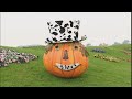 Teletubbies Pumpkin Face 1999 My Version