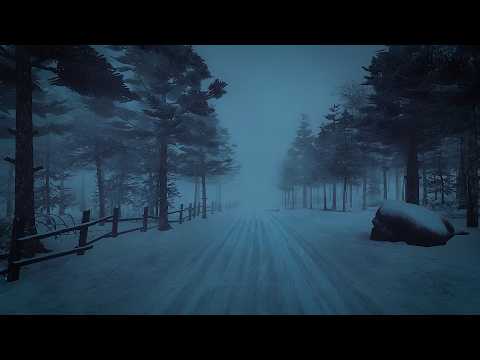 Deep Freeze Snowstorm & Epic Blizzard Mist | Low Howling Winds at Dark Tree Pass | 10 HOURS