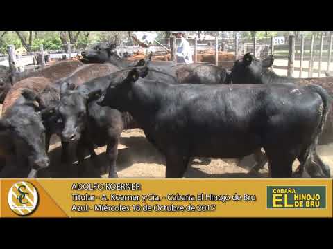 18-10-17 Nota Adolfo Koerner - Cabaña El Hinojo de Bru - Azul