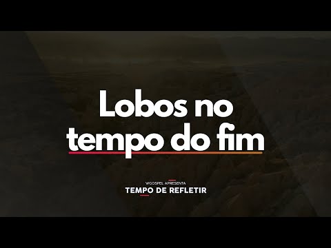 Lobos no tempo do fim - Tempo de Refletir 2700
