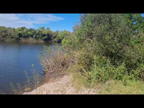 EL EUCALIPTOS QUEMADO ARROYO NEGRO