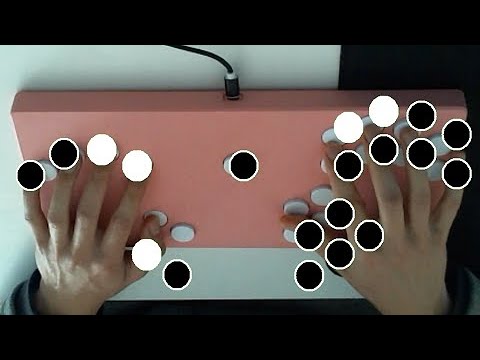Oatmeal's Frame1 Input Display