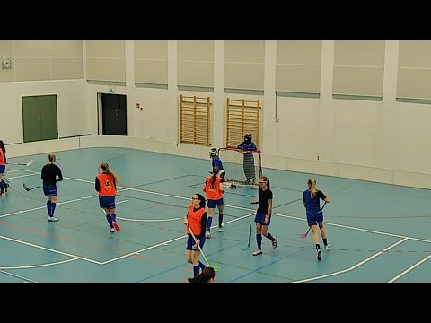 BTSM LoSB/VSS - EräViikingit, Nummela