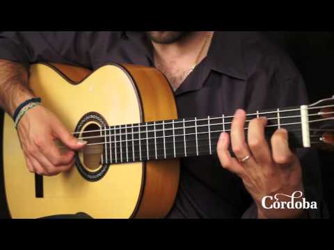 Brand New Cordoba F10 Flamenco Blanca Guitar image 11