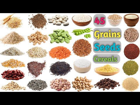Grains Vocabulary ll About 45 Grains, Seeds & Cereals Name In English With Pictures