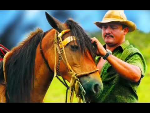 Tumbando trancas - Lorgio Rodríguez - esto es un regalo!!