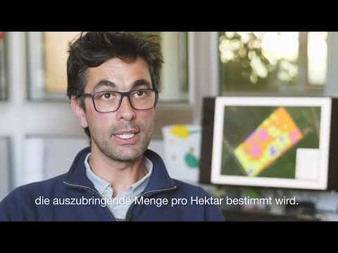 Precision Farming: Wie Satellitenbilder die optimale Mais-Aussaatstärke ermitteln