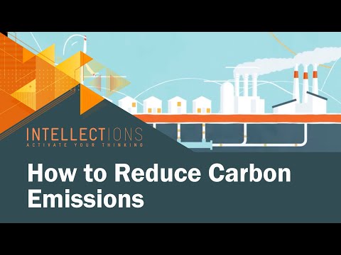 Carbon Taxes: The Most Efficient Way to Reduce Emissions | Intellections Video