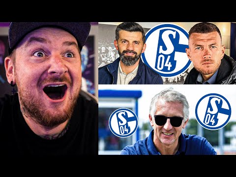 EDIN DZEKO !😱 FIEBERTRAUM mit NACHSCHLAG ?🤔 SCHALKE 04 Talk | Der Keller Stream Highlights