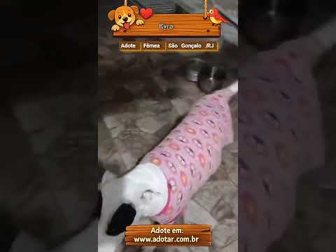 Vídeo de Kyra