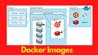 Docker - Learning to use Images