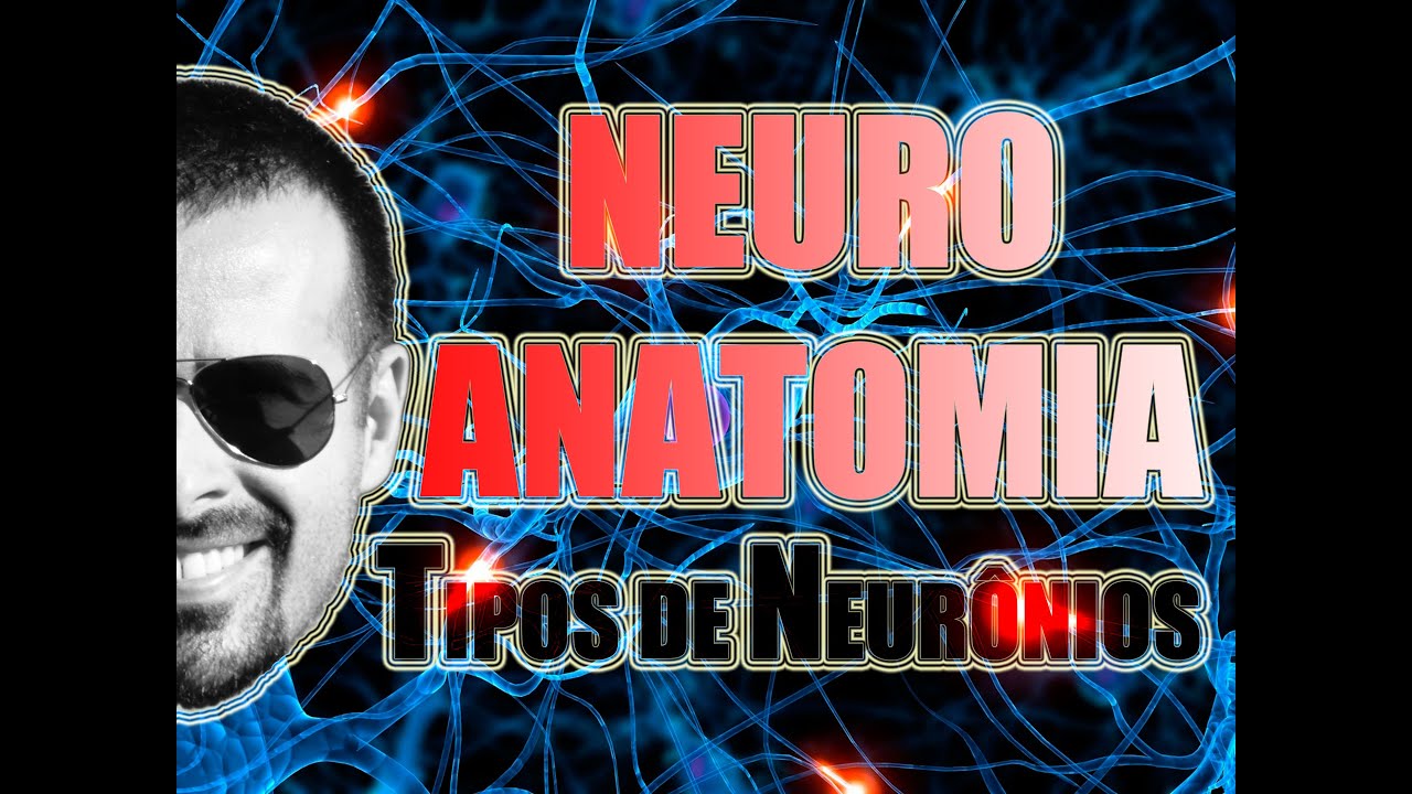 Tipos de neurônios: Multipolar, Bipolar e Pseudo-Unipolar - Sistema Nervoso - Vídeo Aula 090