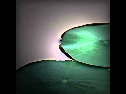 Dana Gillespie - Hara Hara Hara Mahadeva